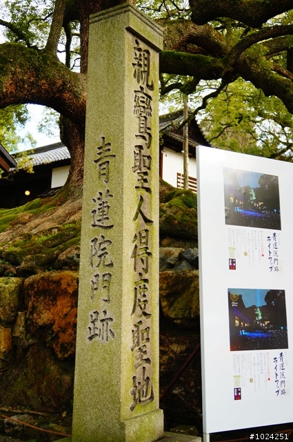 [單車拖車的無限可能] 2013 Bike·桜·京都 (3rd Day)