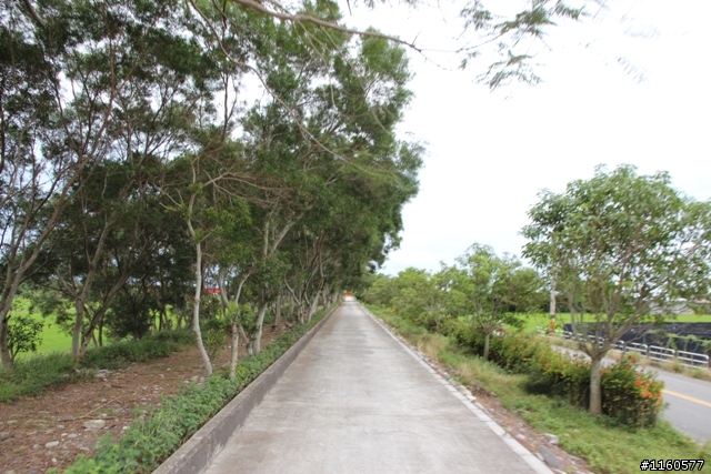 全 台 最 美 的 自 行 車 道 -台 東  山 海 鐵 馬 道