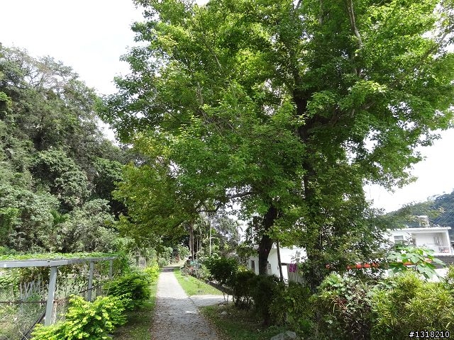 親子旅遊-清明台東自由行(1)