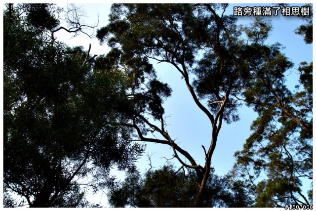 台中單車爬坡訓練場_華南路...硬!