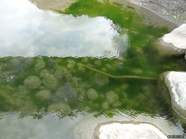 親子旅遊-清明台東自由行(1)