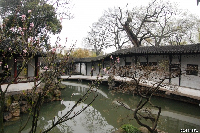 D40中國華東遊記