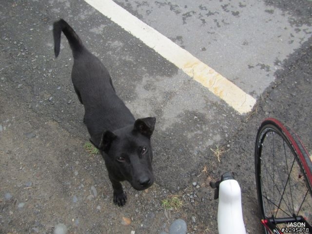 [ J 的單車道 ]  20130421 恆春半島愜意行
