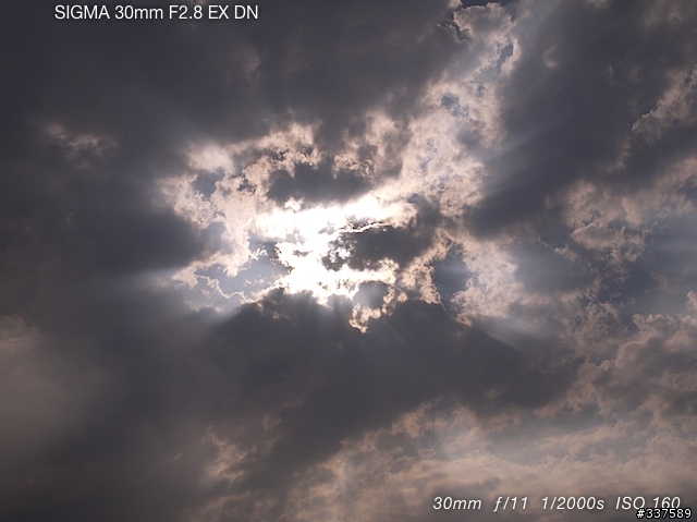 Sigma 30mm f/2.8 DN EX 隨拍..