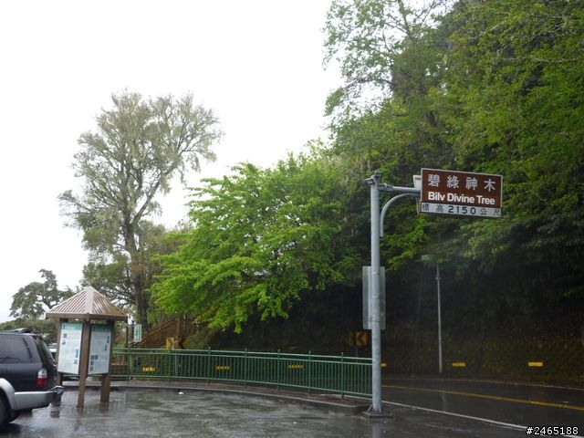 38小時慢遊之旅(4/4~4/6)