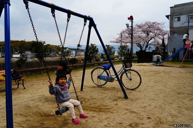 [單車拖車的無限可能] 2013 Bike·桜·京都 (4th Day)