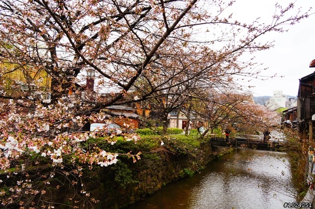 [單車拖車的無限可能] 2013 Bike·桜·京都 (3rd Day)