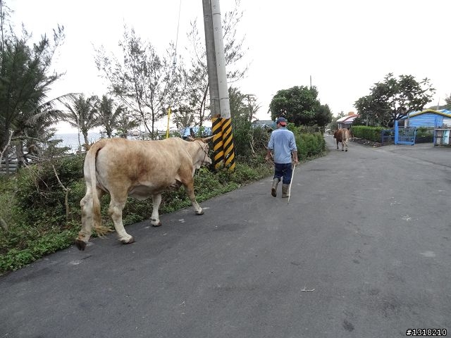 親子旅遊-清明台東自由行(2)