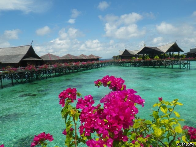 2013_02 馬來西亞 馬布島 Mabul Island Malaysia