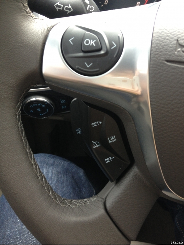 2013 THE ALL-NEW FOCUS 24小時免費開回家-【台中新社晚去晚回】