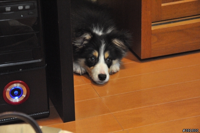 媽我在這裡!!! 我上安全島了!!