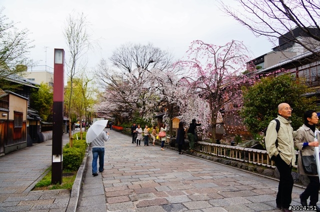 [單車拖車的無限可能] 2013 Bike·桜·京都 (3rd Day)