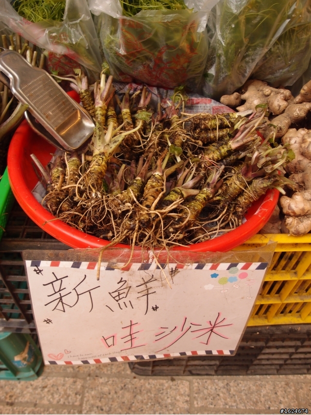 熱血的 24小時試程 台中~東埔泡湯~塔塔加~阿里山