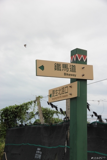 全 台 最 美 的 自 行 車 道 -台 東  山 海 鐵 馬 道