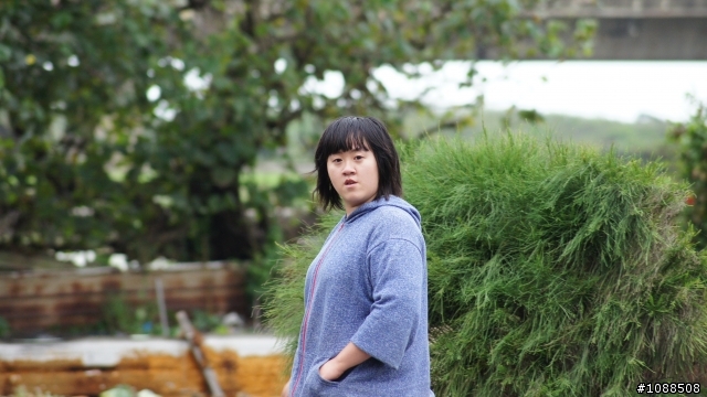 請各位神人幫忙修圖