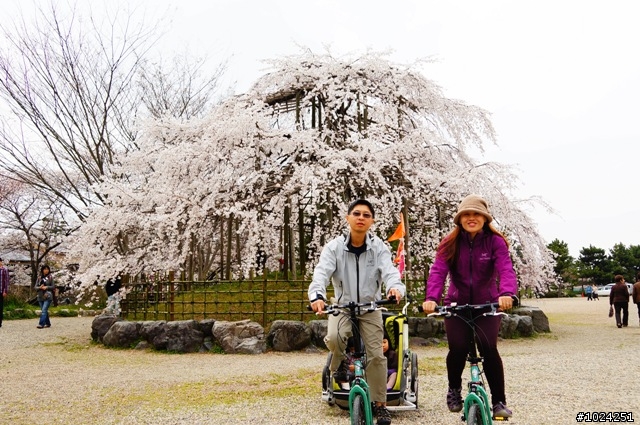 [單車拖車的無限可能] 2013 Bike·桜·京都 (4th Day)