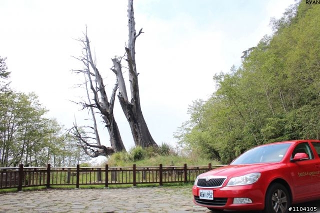 Octavia 1.2TSI 一日試駕前進新中橫(151P)