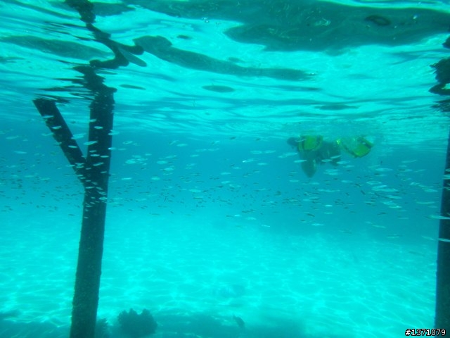 2013_02 馬來西亞 馬布島 Mabul Island Malaysia