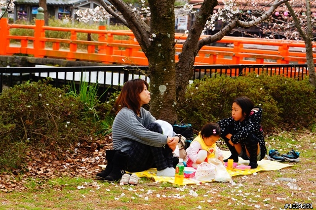 [單車拖車的無限可能] 2013 Bike·桜·京都 (4th Day)