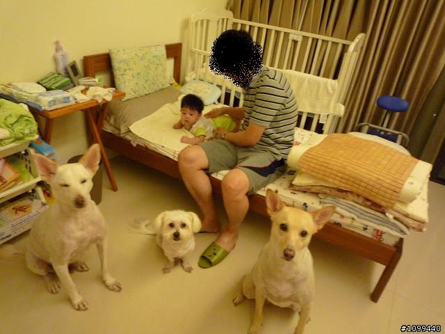 猋+一小犬=器 的生活集錦~