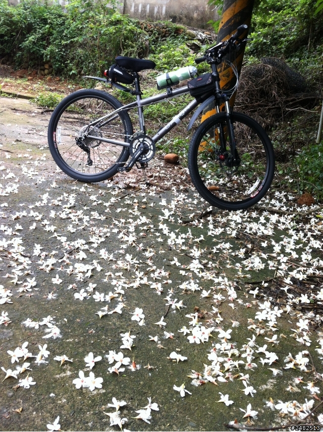 四月雪/油桐花開了 我的鐵馬行-苗栗銅鑼天空自行車道