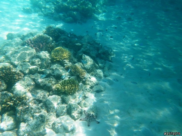 2013_02 馬來西亞 馬布島 Mabul Island Malaysia