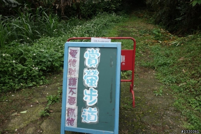 雲自在賞桐花