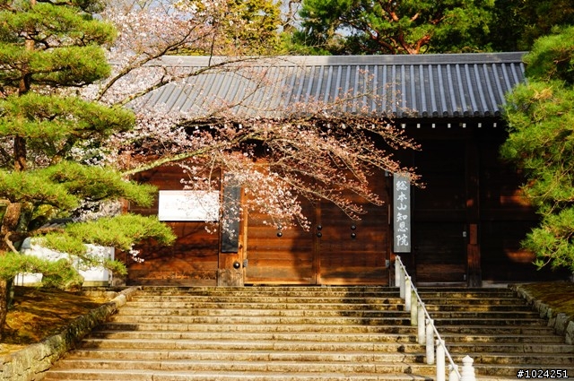 [單車拖車的無限可能] 2013 Bike·桜·京都 (3rd Day)