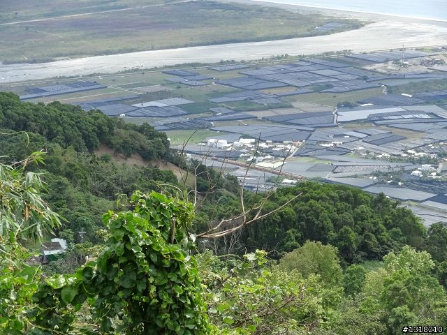 親子旅遊-清明台東自由行(1)