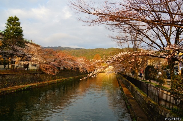 [單車拖車的無限可能] 2013 Bike·桜·京都 (3rd Day)
