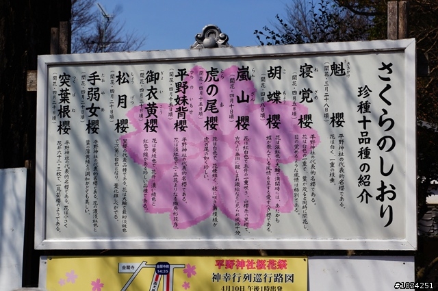 [單車拖車的無限可能] 2013 Bike·桜·京都 (5th Day)
