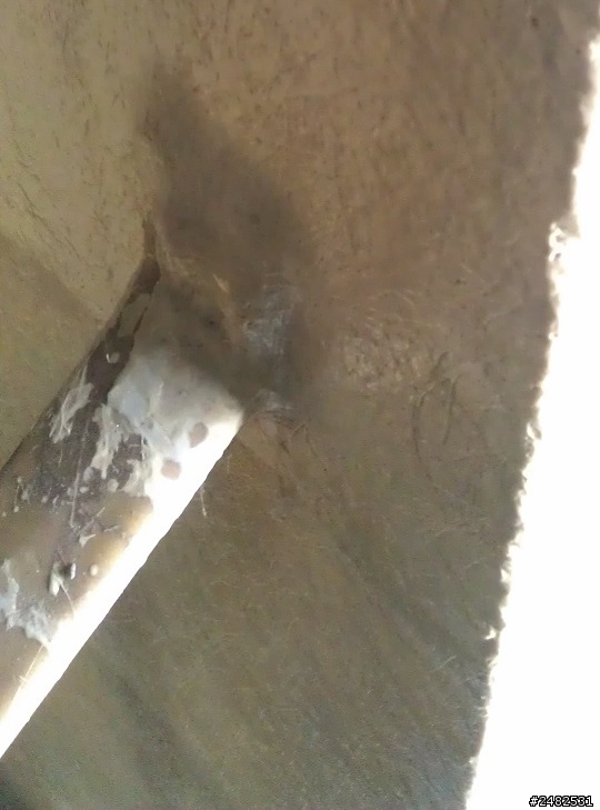 屋頂防水隔熱工程~~請幫幫我~謝謝
