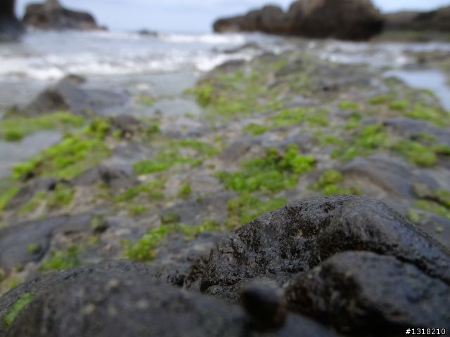 親子旅遊-清明台東自由行(2)