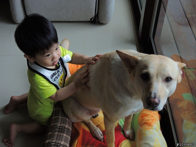 猋+一小犬=器 的生活集錦~