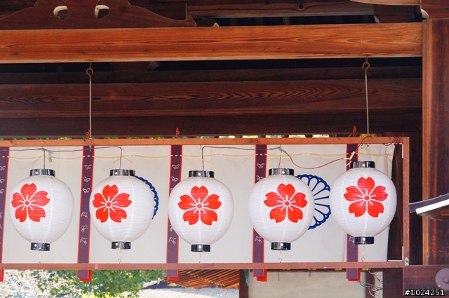 [單車拖車的無限可能] 2013 Bike·桜·京都 (5th Day)