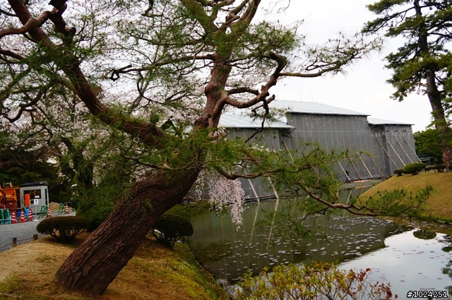 [單車拖車的無限可能] 2013 Bike·桜·京都 (4th Day)