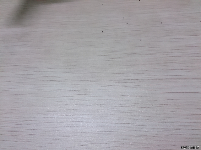 XZ 拍照時出現了很多很多黑點啊 ！！！ 怎麼辦 ？？ 只能送修嗎 ？？？