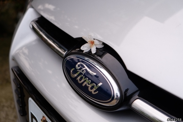 2013 Ford Focus 1.6 新竹油桐花試駕之旅心得分享~閃亮亮女神大露臉