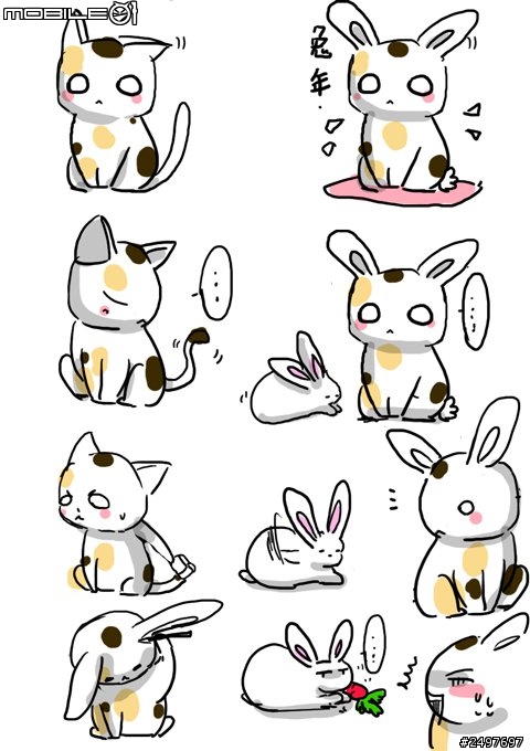 siameses寵物畫~