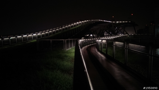 New one 夜拍分享
