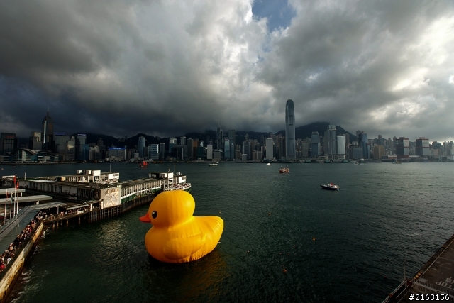 [分享]...分享一下Rubber Duck
