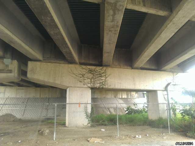 這個圖驣跟MOBILE01像嗎