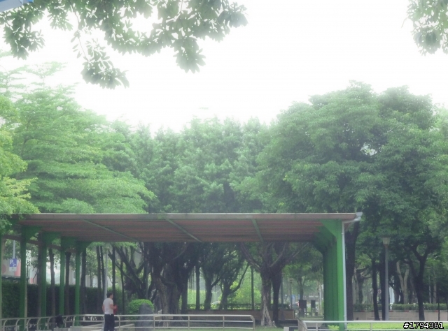 沒下雨就是要拍照~~~XD