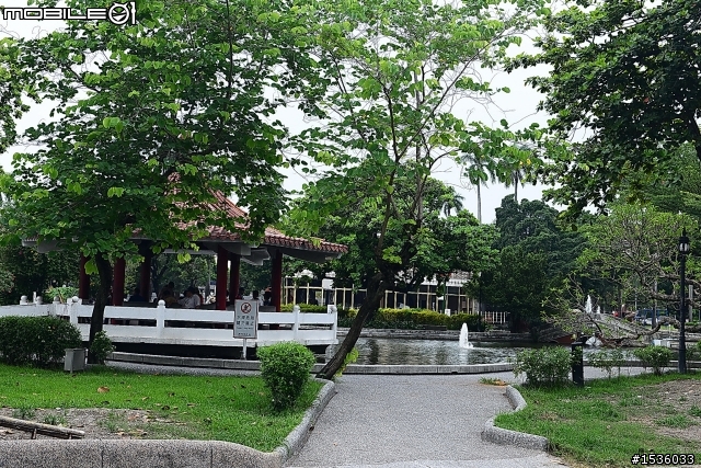 屏東市中山公園的松鼠吃香焦