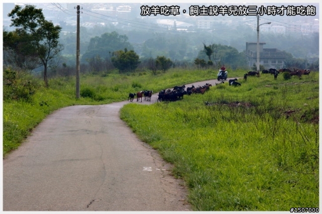 九天(民俗技藝團)硬梆梆...雖短但很硬。