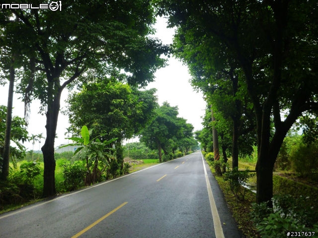 蘭陽蝶形道