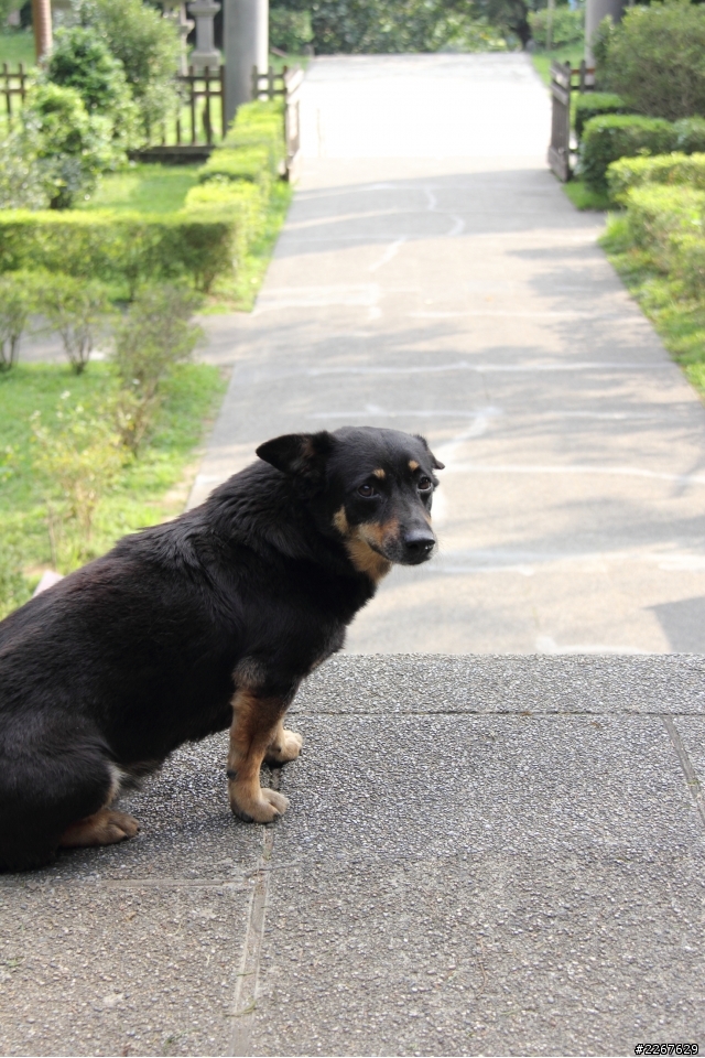 桃園忠烈祠隨拍102/4/30