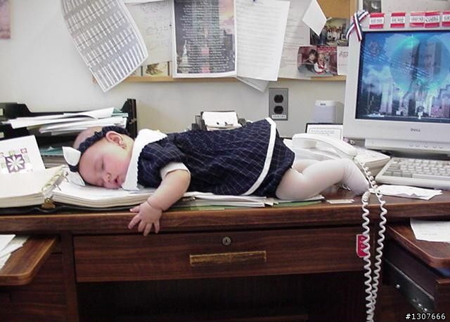 一日北高 逆行 + 迷路到山裡面去