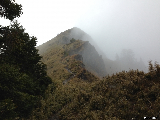 武陵三秀單攻(池有,品田,桃山,沒去喀拉業)