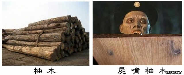 發了發了 ! 這下真的發了~真的給我中了"四星彩"